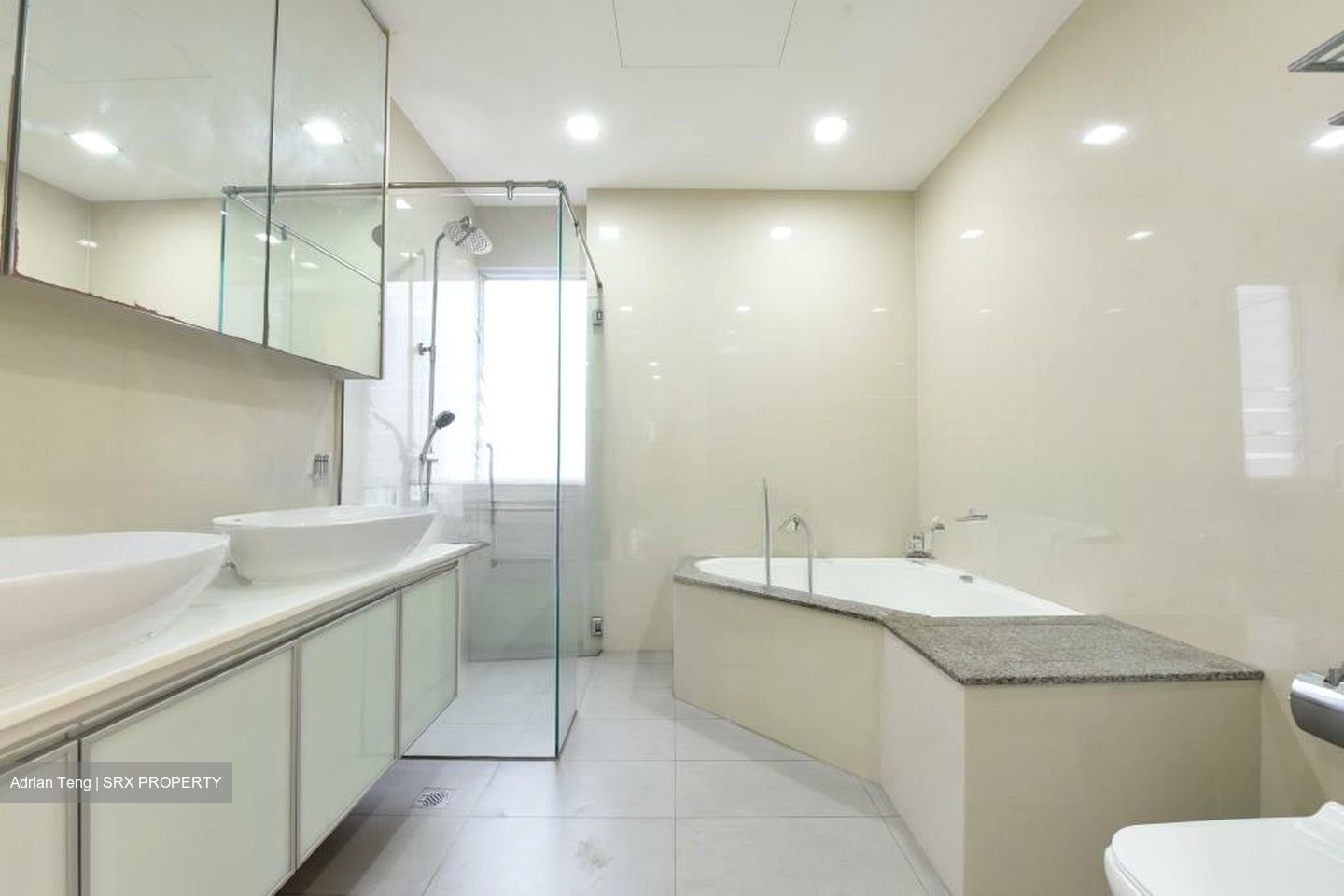 Regency Park (D10), Condominium #524208991